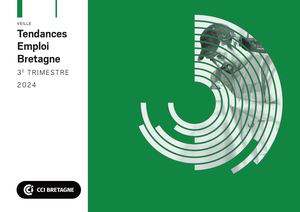 3e Trimestre 2024 Tendances Emploi