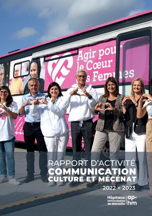 Rapport d'activité Communication culture et mécénat