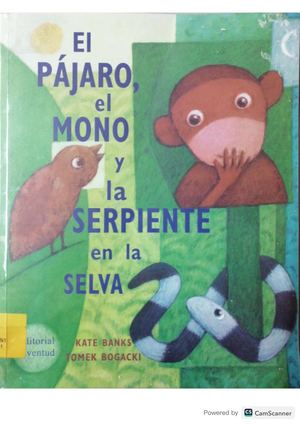 El Pájaro, El Mono Y La Serpiente En La Selva