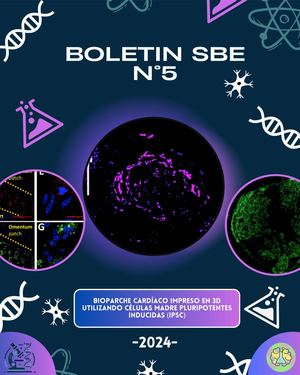 bioparche cardíaco impreso en 3D utilizando células madre pluripotentes inducidas (iPSC)