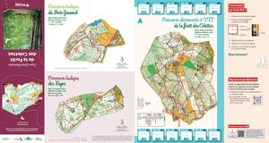 Co Foret Des Colettes