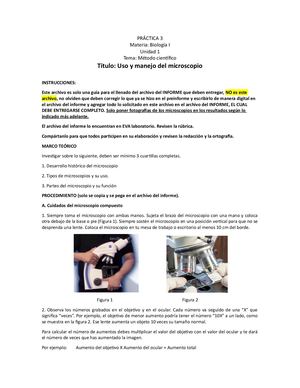 Práctica 3 Microscopio (24)