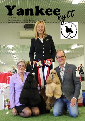 Yankee Nytt 3 2024