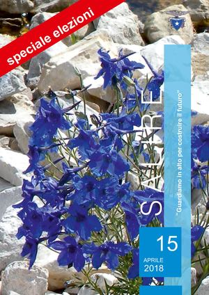 Salire 15 - Speciale Elezioni