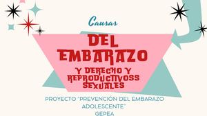 Presentación Salud Sexo Afectiva Ilustrado Retro Rosa Azul