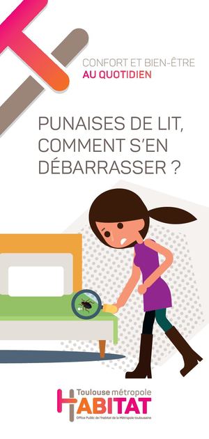 Punaises de lit