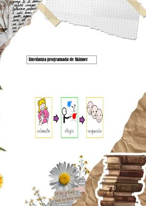 Enseñanza Programada