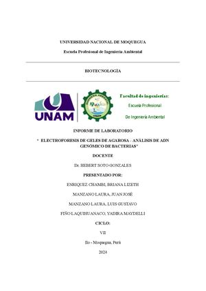 Informe Electroforesis Geles De Agarosa