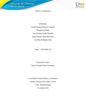 Dilema 3 Comprensión