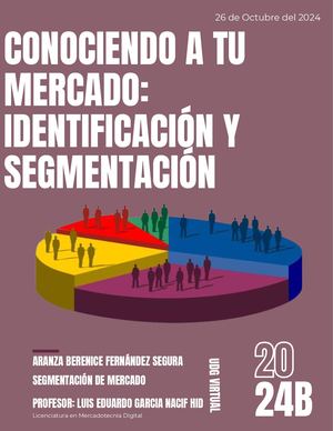Proceso Para La Segmentación De Mercados