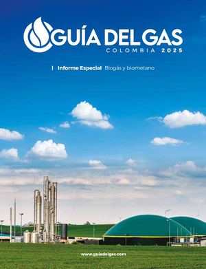 GUÍA DEL GAS 2025