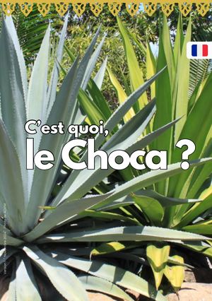 Le Choca C'est Quoi V1