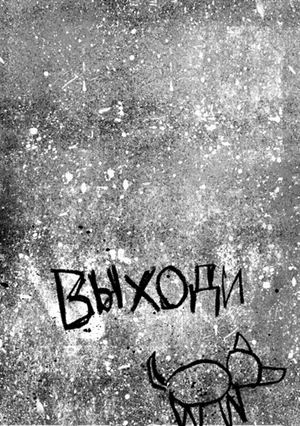 зин