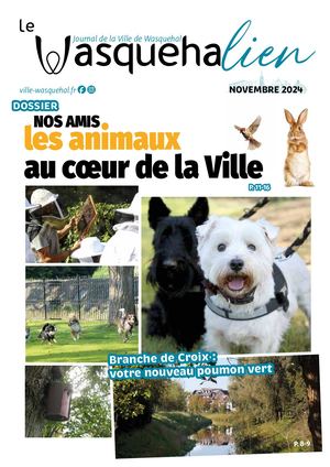 Wasquehalien Novembre 2024