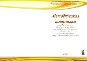 Методическая шпаргалка руководителя учреждения  общего среднего образования,  создавшего условия для получения  детьми с ОПФР специального образования  и коррекционно-педагогической помощи