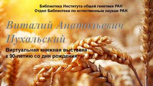 Виталий Анатольевич Пухальский