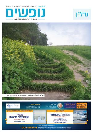 נופים&נופשים גיליון מס׳ 393 | ל׳ תשרי ה׳תשפ״ה | פרשת נח | 1.11.24