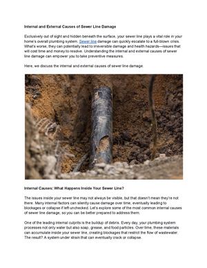 Calaméo - Internal And External Causes Of Sewer Line Damage