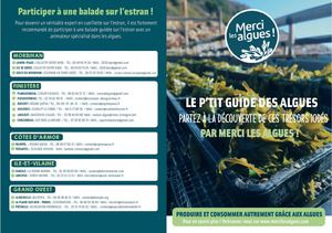 Le Guide Des Algues Merci Les Algues