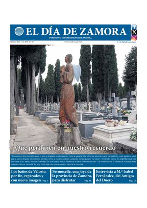 El Día de Zamora nº 431