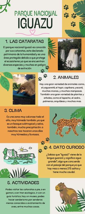 Infografía Cataratas Tp Nticx