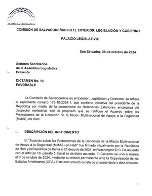 Comision de Salvadoreños en el Exterior Dictamen No. 14