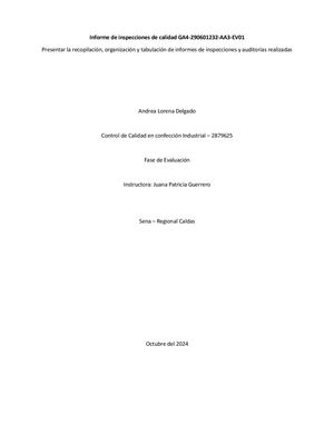 Informe De Inspecciones De Calidad Ga4 290601232 Aa3 Ev01
