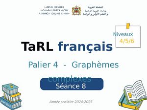 TaRl Palier 4 Niv 456 Séance 8 Vf 1