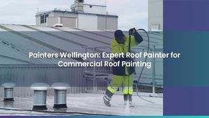 Commercial Roof Painting Experts: Leading Roof Painter in Wellington