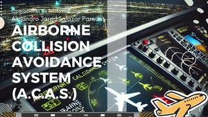 Airborne Collision Avoidance System