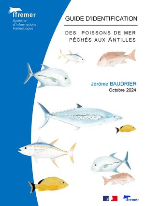 Guide Identification Poissons de mer pêchés aux Antilles
