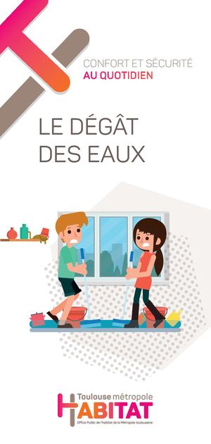 Dégât des eaux