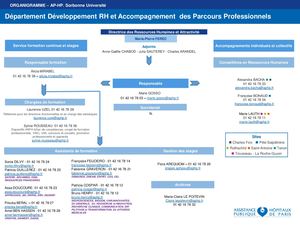 Organigramme Département Développement Rh Et Accompagnement Des Parcours Professionnels AP-HP.Sorbonne Université