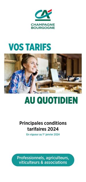 Tarifs 2024 PROFESSIONNELS