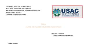 Album Frases Filosoficas