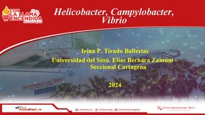 Helicobacter, Campylobacter, Virbio