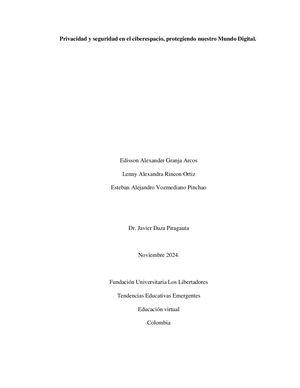 Privacidad Y Seguridad En El Ciberespacio