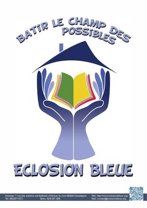 Plaquette Eclosion Bleue