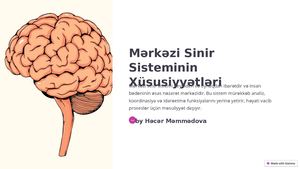 Merkezi Sinir Sisteminin Xususiyyetleri