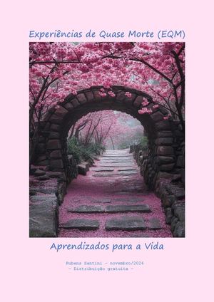 Experiências De Quase Morte Eqm Aprendizados Para A Vida (Rubens Santini)