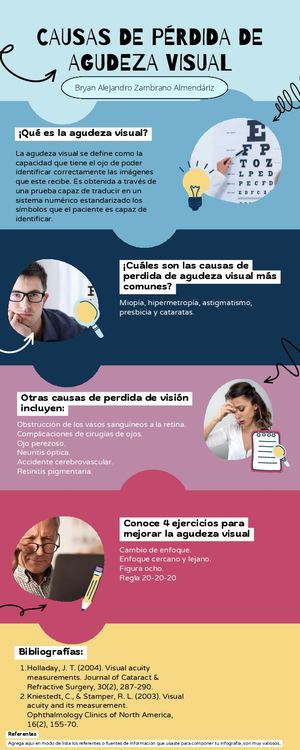 Infografía Perdida De Agudeza Visual