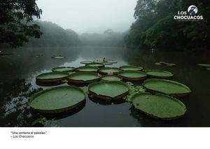 Book Nancy López Compressed (1)