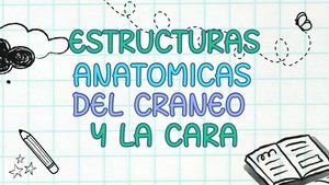 Estructuras Anatómicas Del Cráneo Y La Cara 20241110 132509 0000 Compressed