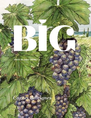 BIG - Golfe St Tropez n°5