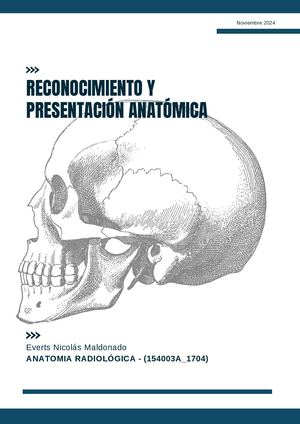 Revista Huesos Craneo Cara