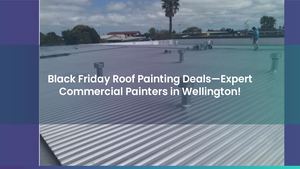 Black Friday Roof Painting Deals—Expert Commercial Painters in Wellington!