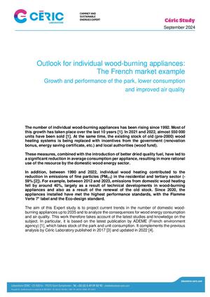 Ceric Studies Outlook For Individual Wood Burning Appliances The French Market Example