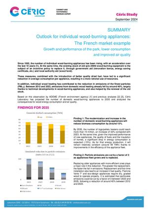 Summary Ceric Studies Outlook For Individual Wood Burning Appliances The French Market Example