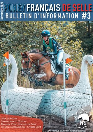 Bulletin d'information - Novembre 2024