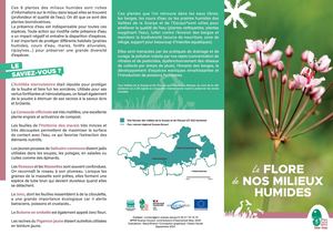 Flore des milieux humides de Scarpe-Escaut